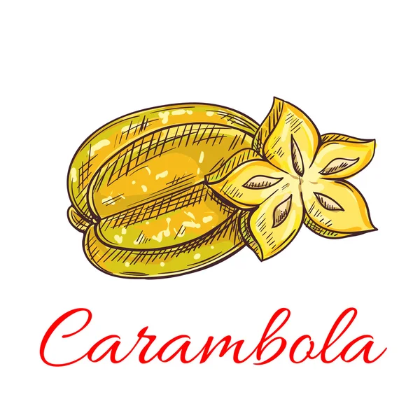 Tropical carambola fruit isolated sketch — Stockový vektor