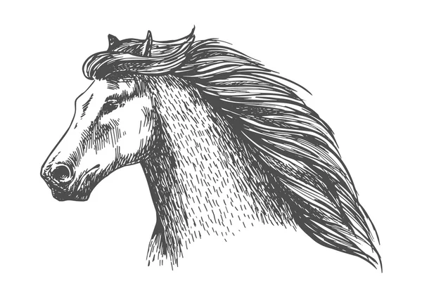 Raging cavalo cinza livre correndo retrato vetorial — Vetor de Stock
