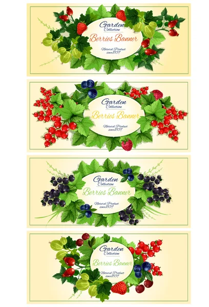 Garden berries fruits banners — Stock Vector
