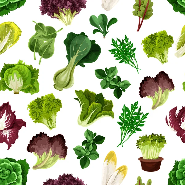 샐러드 녹색과 잎이 많은 채소 패턴 — 스톡 벡터