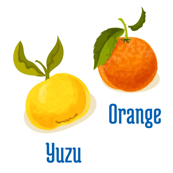 Ícones de vetor de frutas laranja e yuzu — Vetor de Stock