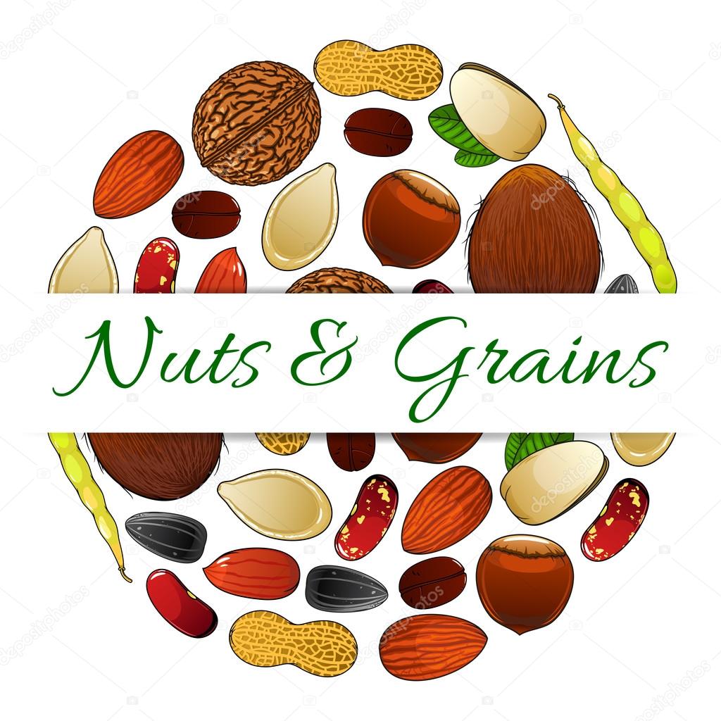Nutritious nuts and grains elements vector round label with text. Natural healthy coconut, almond, pistachio, cashew, hazelnut, walnut, bean, peanut, sunflower, pumpkin seeds. Vegetarian protein raw