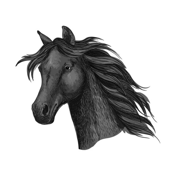 Zwarte raven paard hoofd portret — Stockvector