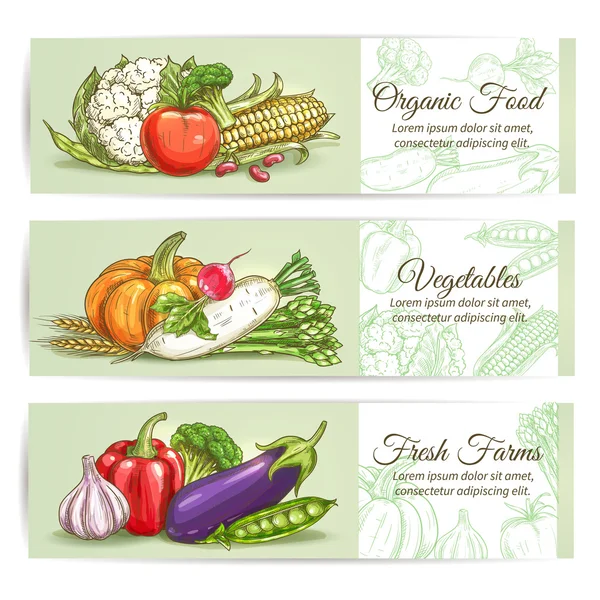 Ekologisk färsk gård grönsaker — Stock vektor