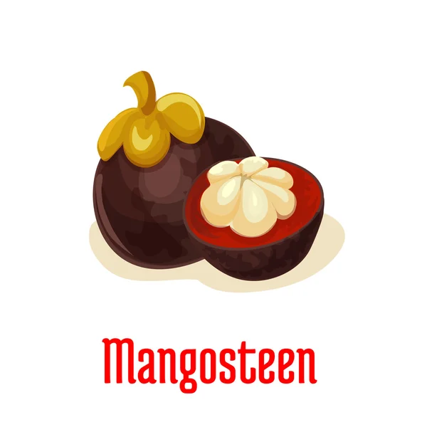 Mangostan exotische tropische Früchte Symbol — Stockvektor