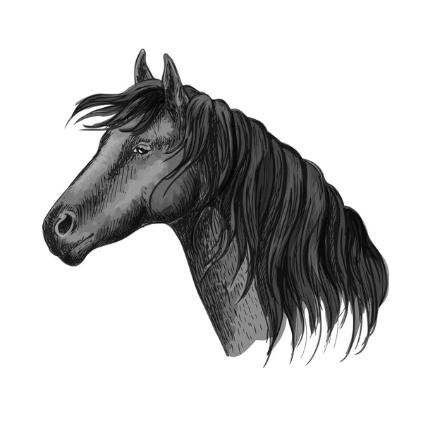 Retrato de esboço de cabeça de cavalo — Vetor de Stock