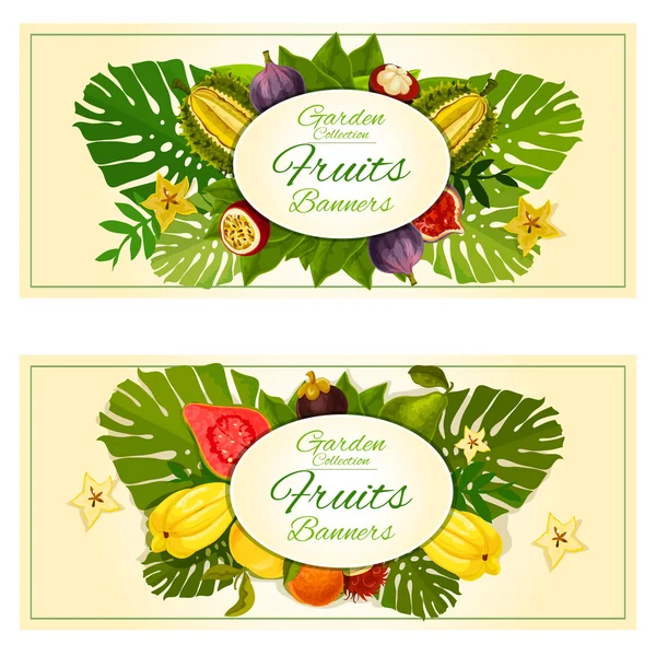 Bandiere di frutta da giardino tropicale — Vettoriale Stock