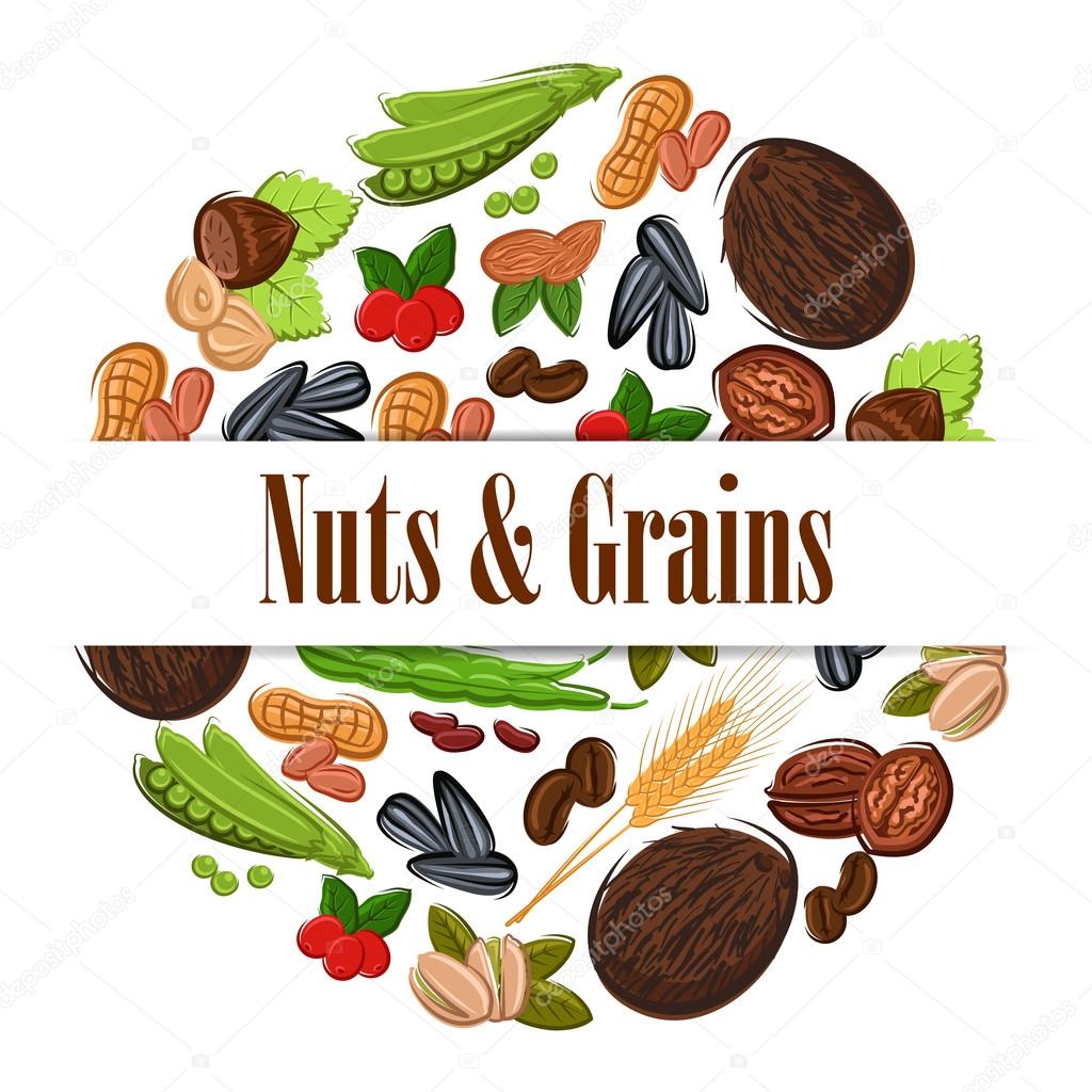 Nutritious nuts and grains in round shape emblem. Natural coconut, almond, pistachio, cashew, hazelnut, walnut, bean pod, peanut, sunflower, pumpkin seeds. Vegetarian healthy nutritious raw food