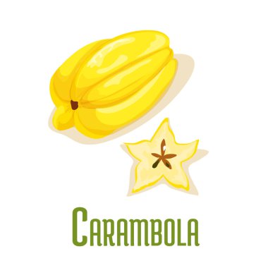 Carambola egzotik tropik meyve vektör simgesi