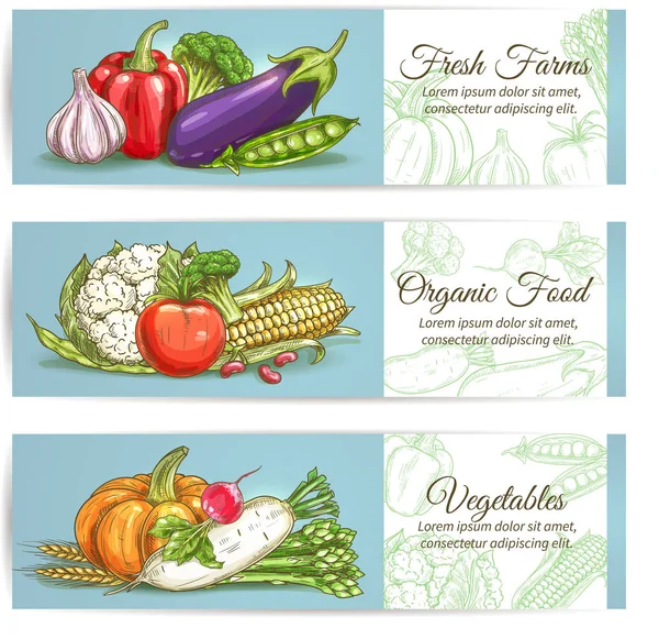 Banderas de verduras. Productos ecológicos frescos de granja — Vector de stock