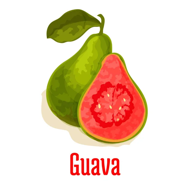 Guayaba fresco jugoso vector de frutas tropicales icono — Vector de stock