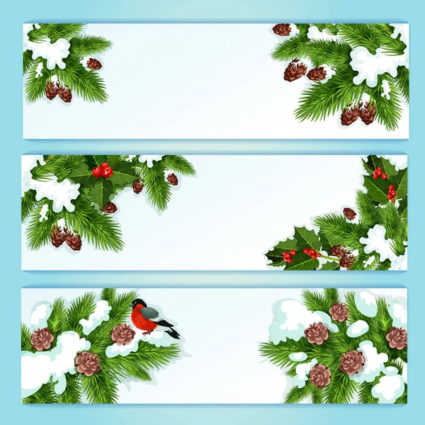 Banner de Navidad con ramas de abeto y baya de acebo — Vector de stock