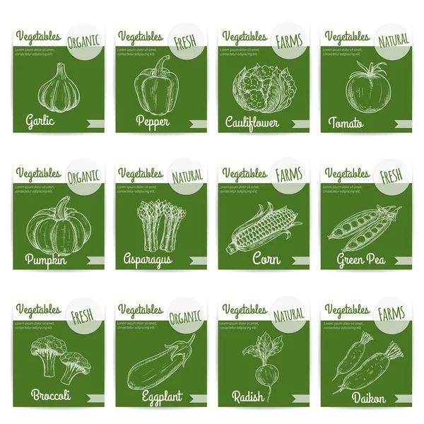 Croquis craie de légumes frais biologiques naturels de ferme — Image vectorielle