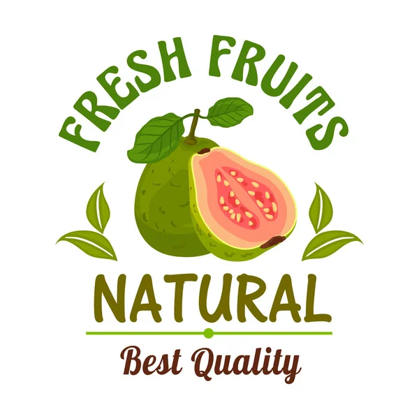 Guava. Friss természetes trópusi egzotikus gyümölcs jelkép — Stock Vector