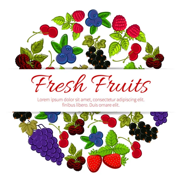 Frutas e bagas frescas. Bandeira de fruta vetorial — Vetor de Stock