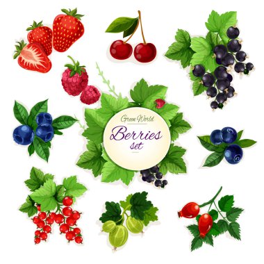 Çilek. Orman ve Bahçe izole berry Icon set