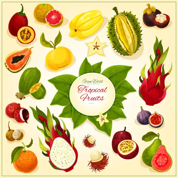 Iconos vectoriales de frutas tropicales y exóticas — Vector de stock