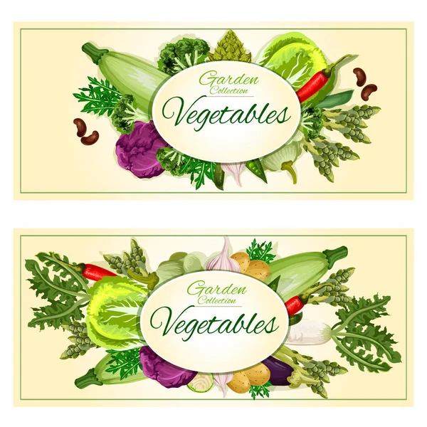 Jardín verduras vector carteles, pancartas — Vector de stock