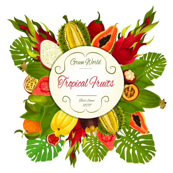 Tropical y frutas exóticas vector símbolo — Archivo Imágenes Vectoriales