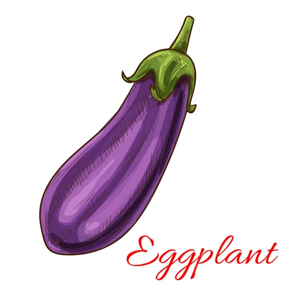 Aubergine plantaardige schets geïsoleerde pictogram — Stockvector