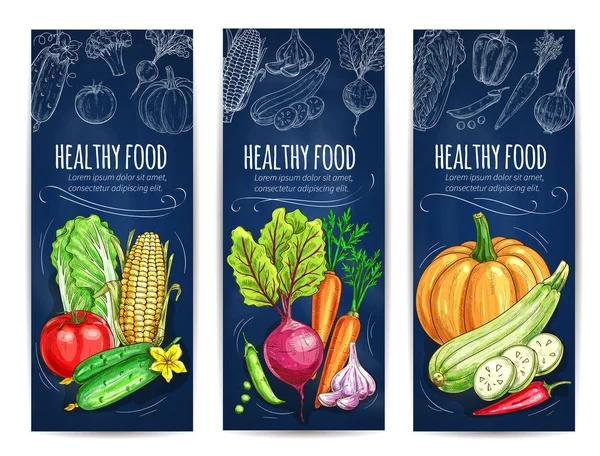 蔬菜素描。素食的蔬菜横幅 — 图库矢量图片