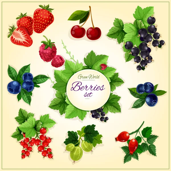 Beeren und Früchte Cartoon Poster für Food Design — Stockvektor