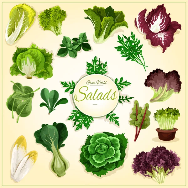 Salad leaf and vegetable greens poster — Stock Illustration Salad leaf and vegetable greens poster Stock Vector