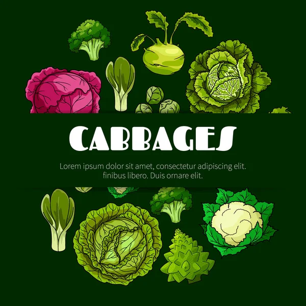 Zelí zeleninové plakát pro design potravin — Stockový vektor