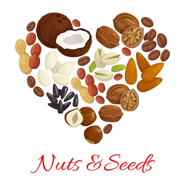 Heart of nut, seed and bean for snack food design — Stock Vector