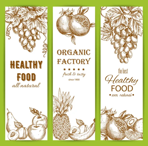 Здорові натуральні органічні фруктові харчові ескізи банери — стоковий вектор