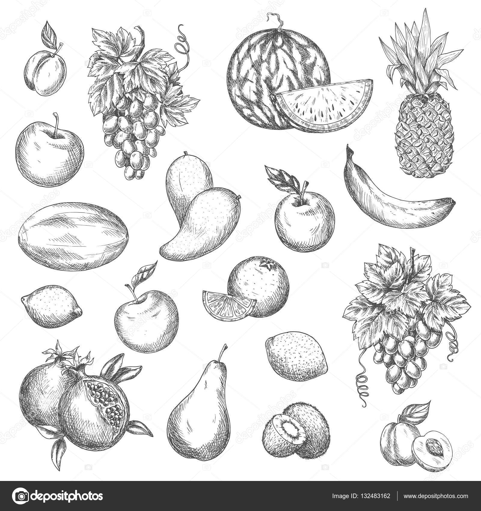 12 Free Fruit Icons ( Ai & Sketch )