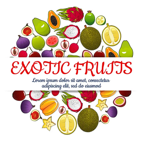 Egzotikus friss gyümölcsök vektor poszter — Stock Vector