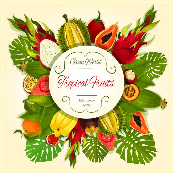 Tropical and exotic fruits vector poster — Stock Vector