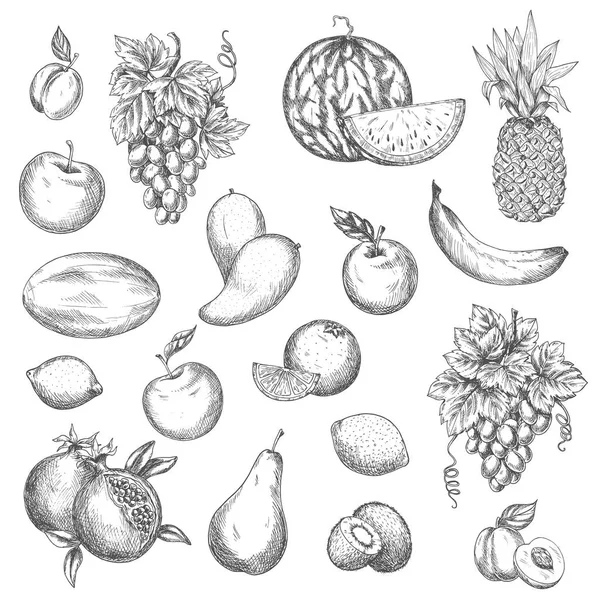 Dibujo vectorial de frutas iconos aislados — Vector de stock