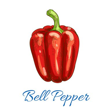 Dolmalık biber sebze vektör izole kroki simgesi