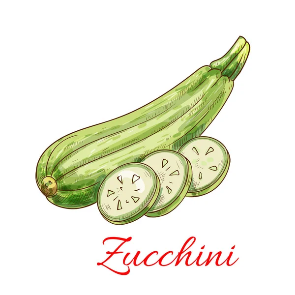 Zucchini Kürbis Gemüse Vektor isolierte Skizze — Stockvektor