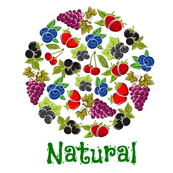 Натуральні фрукти та ягоди у формі кола — стоковий вектор