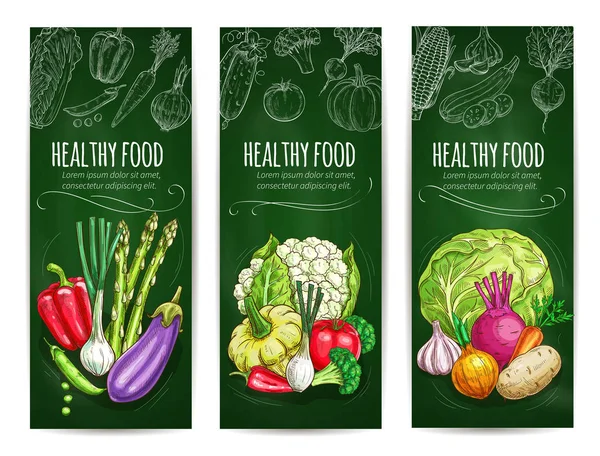 Vegetables sketch on banners. Healthy food — Stock Vector