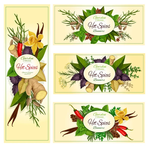Bandiere di erbe aromatiche e condimenti per la progettazione alimentare — Vettoriale Stock