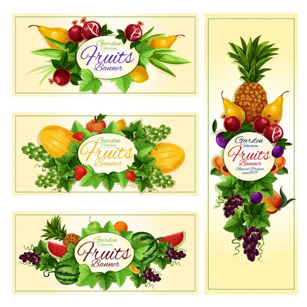 Fruit and berry banner for diet food, drink design — Stock Vector