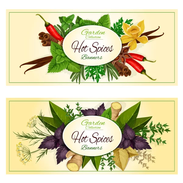 Hot spices, seasonings, spicy herbs vector banners — Stock Vector