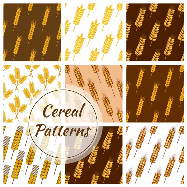 Grano de cereal de trigo, espigas de centeno patrones sin costura conjunto — Vector de stock