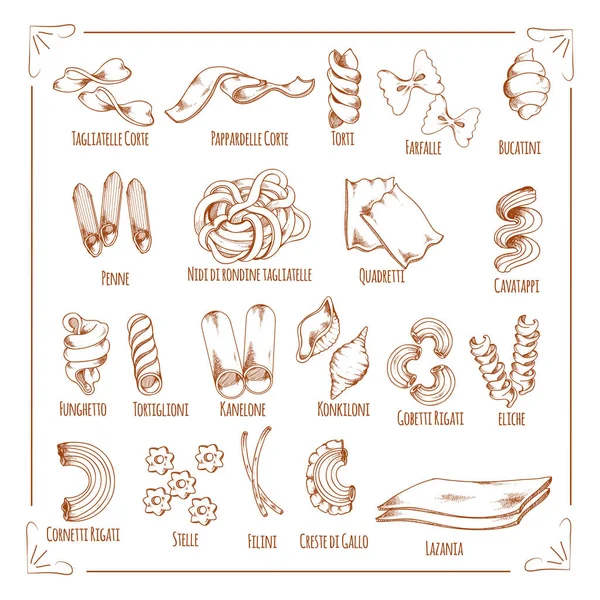 Pasta and macaroni sorts sketch vector icons — Stock Vector
