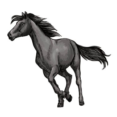 White horse serbestçe çalışan portre
