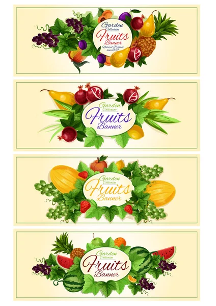 Fruit and berry banner set for food design — Stock Vector