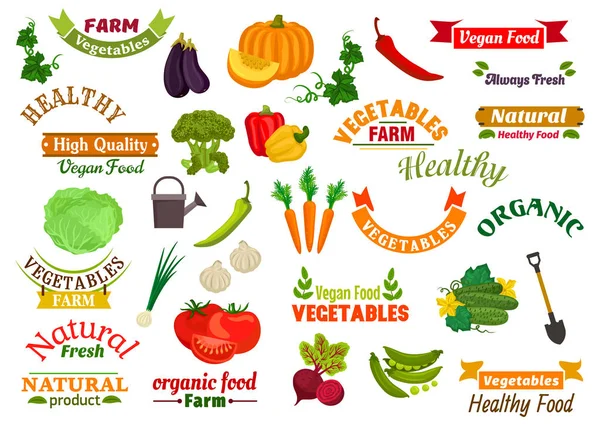 Vegetales emblemas vegetarianos, cintas fijadas — Vector de stock