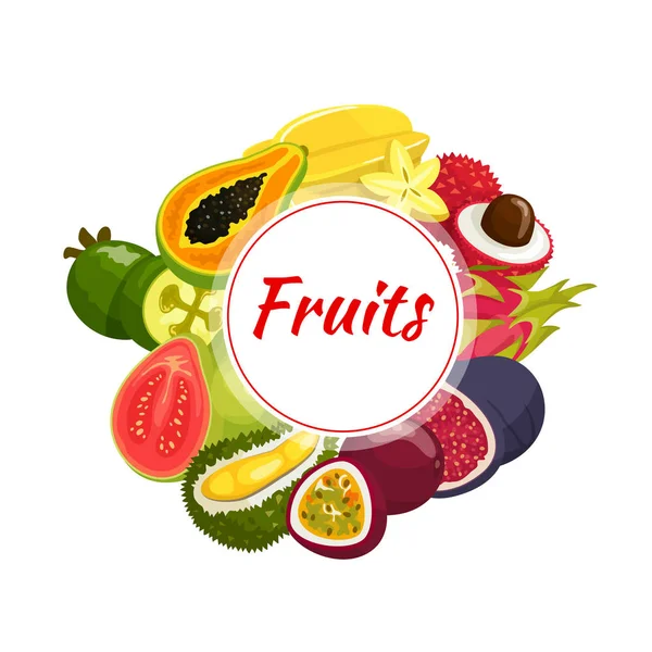 Insignia redonda de frutas tropicales exóticas — Vector de stock