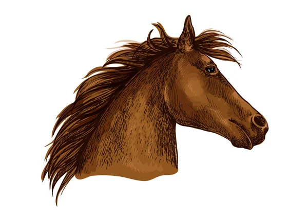 Retrato artístico de cabeza de caballo marrón — Vector de stock