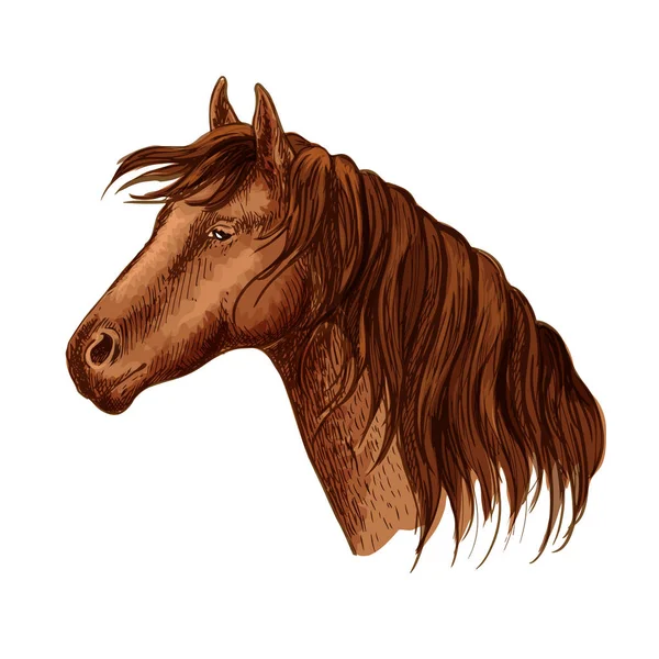 矢量的优美匹棕色的马母马的画像 — 图库矢量图片