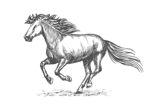 White strong horse galloping on sport races